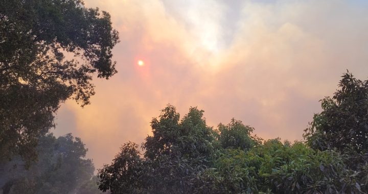 fire smoke in the distance heading our way